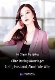 Elite Doting Marriage: Crafty Husband, Aloof Cute Wife - Official Chinese Web Novel Cover By Author 'Slight Uplifting, 微扬'