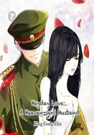 Heyday Love: A Heaven-sent Husband - Official Chinese Web Novel Cover By Author 'Bing Gong Zhu ;冰公主'