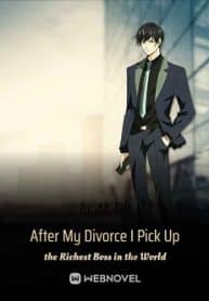 After My Divorce I Picked Up The Richest Boss In The World - Official Web Novel (cn) Cover By Author 'Ah Du'