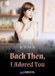 Back Then, I Adored You - Official Chinese Web Novel Cover By Author 'Ye Fei Ye, 叶非夜'