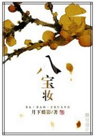 Eight Treasures Trousseau - Official Chinese Web Novel Cover By Author 'Butterfly's Shadow Beneath The Moon, Yue Xia Die Ying, 月下蝶影'