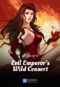 Evil Emperor’s Wild Consort - Official Chinese Web Novel Cover By Author 'Xiao Qi Ye, 萧七爷'
