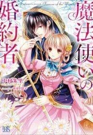 Fiancée Of The Wizard - Official Japan Web Novel Cover By Author 'Nakamura Shuri ;中村朱里'