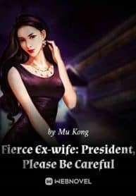 Fierce Ex-wife: President, Please Be Careful - Official Chinese Novel Cover By Author 'Mu Kong'