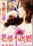 First Marriage, Then Love: Wife, Never Divorce - Official Chinese Web Novel Cover By Author 'Joe Mai'