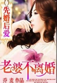 First Marriage, Then Love: Wife, Never Divorce - Official Chinese Web Novel Cover By Author 'Joe Mai'