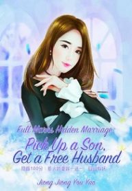 Full Marks Hidden Marriage: Pick Up A Son, Get A Free Husband - Official Chinese Web Novel Cover By Author 'Jiong Jiong You Yao, 囧囧有妖'