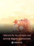 I Married The Second Male Lead After Reincarnating - Official Chinese Webnovel Cover By Author 'Warmth'