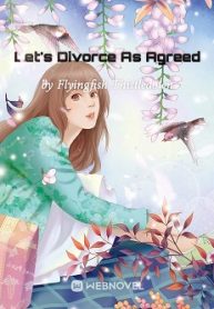 Let’s Divorce As Agreed - Official Chinese Webnovel Cover By Author 'Flyingfish Thistledown'