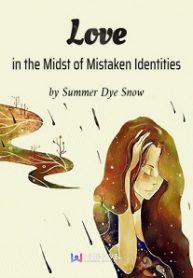 Love In The Midst Of Mistaken Identities - Official Chinese Web Novel Cover By Author 'Summer Dye Snow'