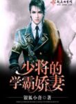 Major General’s Smart And Gorgeous Wife - Official Chinese Web Novel Cover By Author '银狐小音'