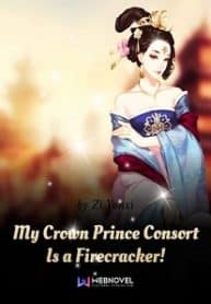 My Crown Prince Consort Is A Firecracker! - Official Chinese Web Novel Cover By Author 'Zi Yunxi'