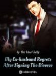 My Ex-husband Regrets After Signing The Divorce - Official Chinese Web Novel Cover By Author 'The Ideal Belly'