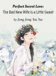 Perfect Secret Love: The Bad New Wife Is A Little Sweet - Official Chinese Web Novel Cover By Author 'Jiong Jiong You Yao, 囧囧有妖'
