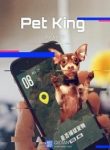 Pet King - Official Chinese Web Novel Cover By Author 'Jie Po'
