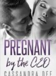 Pregnant With Ceo’s Baby - Official Chinese Webnovel Cover By Author 'Unopen Mind'