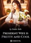 President Wife Is Pretty And Cool - Official Web Novel (cn) Cover By Author 'Dodder Rolls'