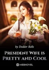 President Wife Is Pretty And Cool - Official Web Novel (cn) Cover By Author 'Dodder Rolls'