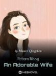 Reborn Missy An Adorable Wife - Official Chinese Webnovel Cover By Author 'Master Qingchen'