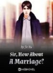 Sir, How About A Marriage? - Official Chinese Webnovel Cover By Author 'Jie Ru'