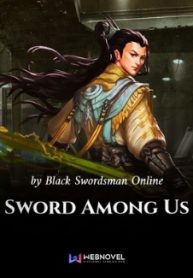 Sword Among Us - Official Chinese Novel Cover By Author 'Black Swordsman Online'