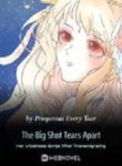 The Big Shot Tears Apart Her Villainess Script After Transmigrating - Official Chinese Webnovel Cover By Author 'Prosperous Every Year'