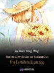 The Bumpy Road Of Marriage: The Ex-wife Is Expecting - Official Chinese Web Novel Cover By Author 'Bean Ding Ding'