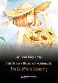 The Bumpy Road Of Marriage: The Ex-wife Is Expecting - Official Chinese Web Novel Cover By Author 'Bean Ding Ding'