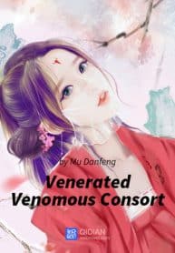 The Evil Consort Above An Evil King - Official Chinese Web Novel Cover By Author 'Mu Danfeng, 穆丹枫'
