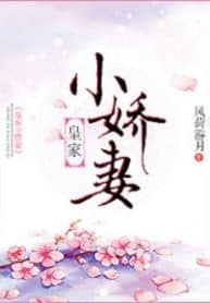The Royal’s Cute Little Wife - Official Chinese Webnovel Cover By Author 'Feng He You Yue, 风荷游月'
