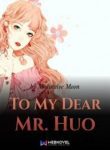 To My Dear Mr. Huo - Official Chinese Web Novel Cover By Author 'Meditative Moon'