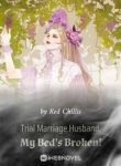 Trial Marriage Husband: My Bed’s Broken! - Official Web Novel (cn) Cover By Author 'Red Chillis'