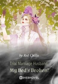 Trial Marriage Husband: My Bed’s Broken! - Official Web Novel (cn) Cover By Author 'Red Chillis'