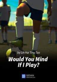 Would You Mind If I Play? - Official English Translated Chinese Novel Cover By Author 'Lin Hai Ting Tao, 林海听涛'