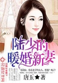 Young Master Lu’s Lovely New Bride - Official Chinese Web Novel Cover By Author 'Tang Yu; 唐玉'
