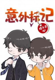 Accidental Mark - Official Chinese Webnovel Cover By Author 'Die Zhiling'