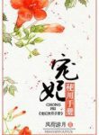 Chongfei Manual - Official Chinese Web Novel Cover By Author 'Funghe Youyue, Wind Load Month, 风荷游月'