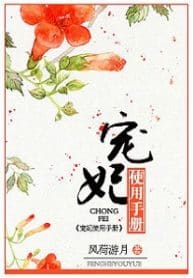 Chongfei Manual - Official Chinese Web Novel Cover By Author 'Funghe Youyue, Wind Load Month, 风荷游月'
