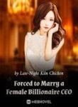 Forced To Marry A Female Billionaire Ceo - Official Chinese Webnovel Cover By Author 'Late-night Kiln Chicken'