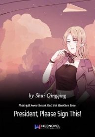Marry A Sweetheart And Get Another Free: President, Please Sign This! - Official Chinese Webnovel Cover By Author 'Shui Qingqing'