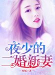 Master Ye’s Second Marriage - Official Chinese Webnovel Cover By Author '时妩'