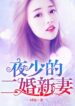 Master Ye's Second Marriage - Official Cover By Author '时妩'