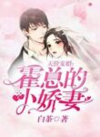 Mr. Huo’s Expensive Cute Wife - Official Chinese Webnovel Cover By Author 'Bai Cha'
