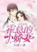 Mr. Huo’s Expensive Cute Wife - Official Chinese Webnovel Cover By Author 'Bai Cha'