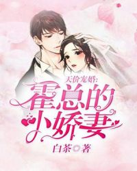 Mr. Huo’s Expensive Cute Wife - Official Chinese Webnovel Cover By Author 'Bai Cha'