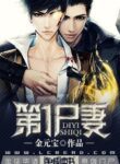 Number One Zombie Wife - Official Chinese Web Novel Cover By Author '金元宝'