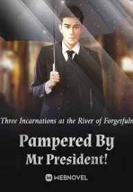 Pampered By Mr President! - Official Chinese Webnovel Cover By Author 'Three Incarnations At The River Of Forgetfulness'