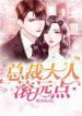 President, Go Away! - Official Chinese Webnovel Cover By Author 'Zhan Xiao Bai'