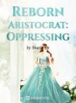 Reborn Aristocrat: Oppressing - Official Chinese Webnovel Cover By Author 'Shutin En'