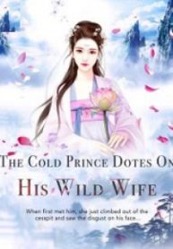 The Cold Prince Dotes On His Wild Wife - Official Chinese Webnovel Cover By Author 'Er Ye'